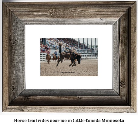 horse trail rides near me in Little Canada, Minnesota